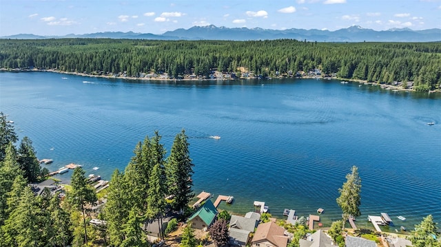 2211 E Mason Lake Dr E, Grapeview, WA 98546 - photo 35