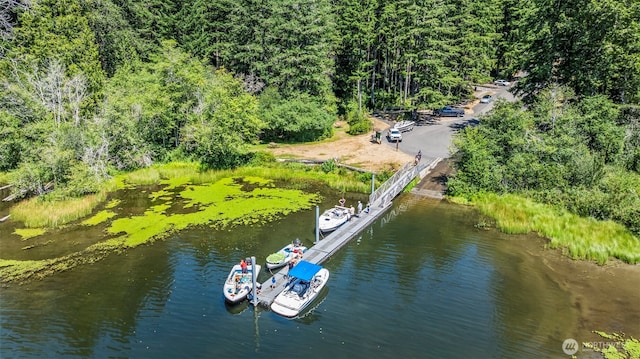 2211 E Mason Lake Dr E, Grapeview, WA 98546 - photo 36