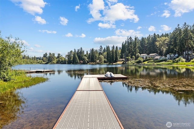 13027 SE 76th St, Newcastle, WA 98056 - photo 2