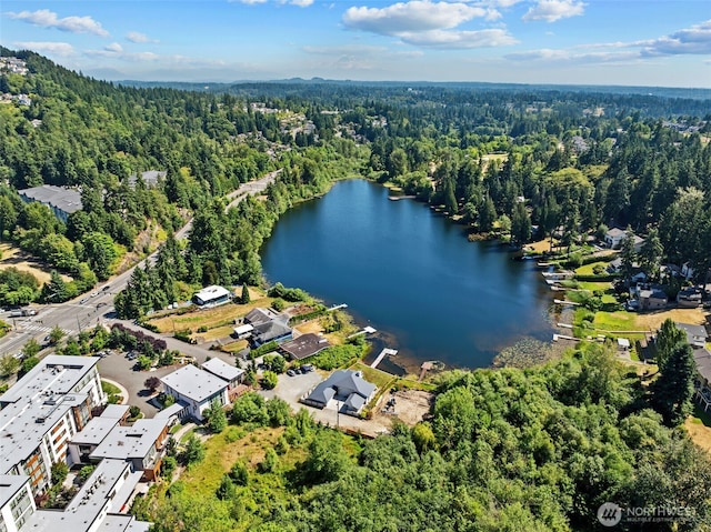 13027 SE 76th St, Newcastle, WA 98056 - photo 38