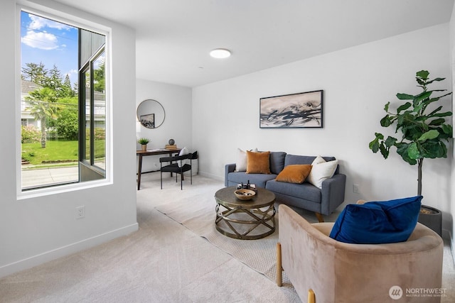 8833 Wallingford Ave N, Seattle, WA 98103 - photo 6