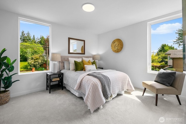 8833 Wallingford Ave N, Seattle, WA 98103 - photo 26