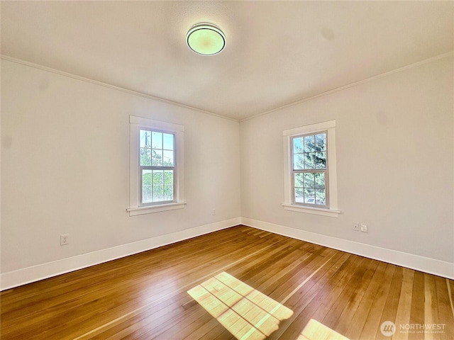 503 E 72nd St, Tacoma, WA 98404 - photo 35