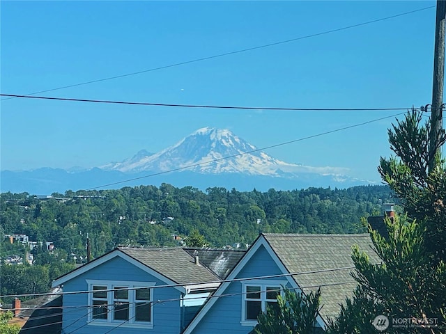 3717 35th Ave SW, Seattle, WA 98126 - photo 37