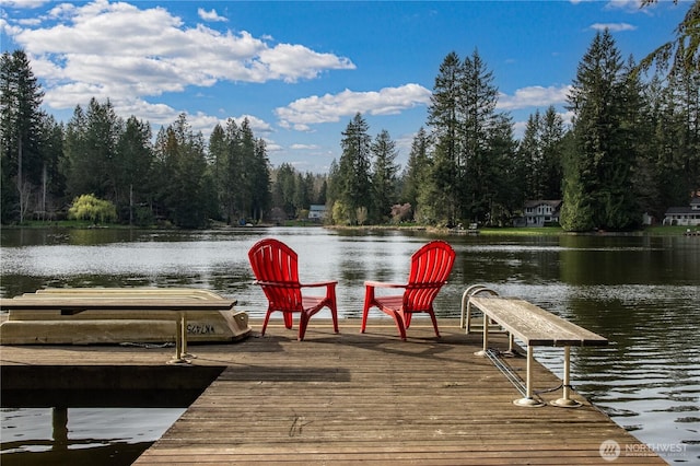 31816 NE 106th St, Carnation, WA 98014 - photo 1