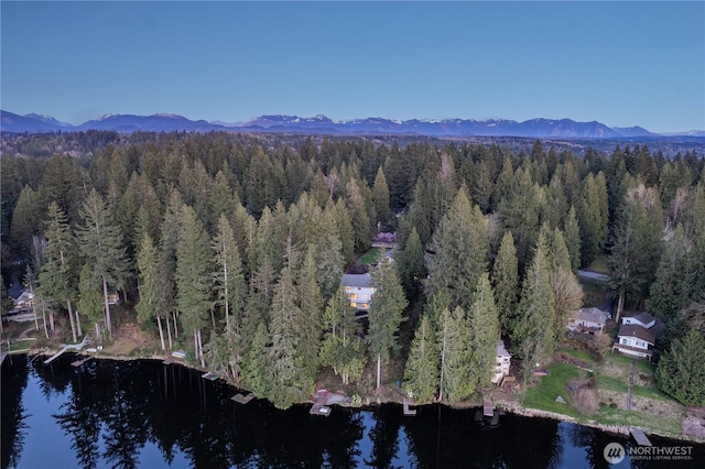 31816 NE 106th St, Carnation, WA 98014 - photo 38