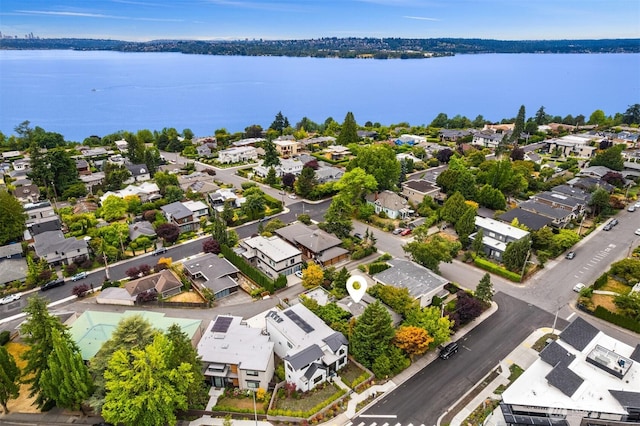 235 10th Ave W, Kirkland, WA 98033 - photo 38