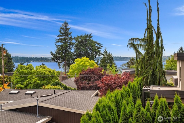 235 10th Ave W, Kirkland, WA 98033 - photo 35