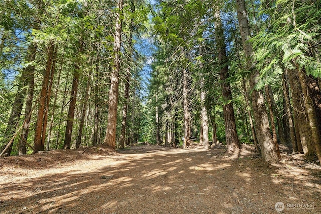 4273 Kachess Lake Rd, Easton, WA 98925 - photo 20