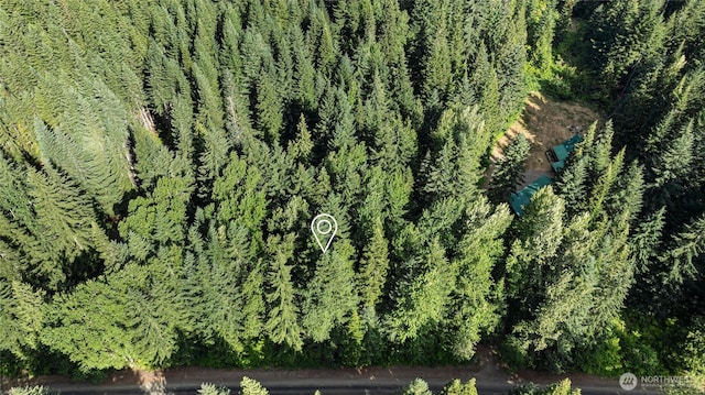 4273 Kachess Lake Rd, Easton, WA 98925 - photo 29