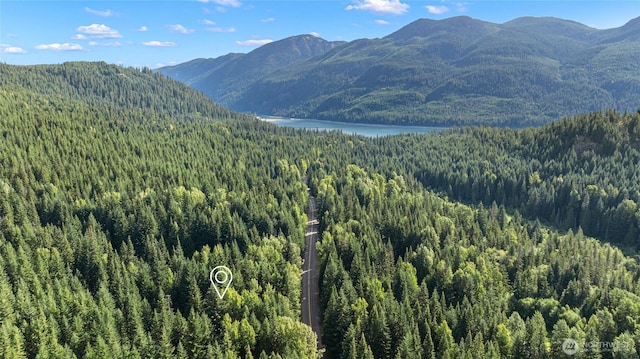 4273 Kachess Lake Rd, Easton, WA 98925 - photo 33