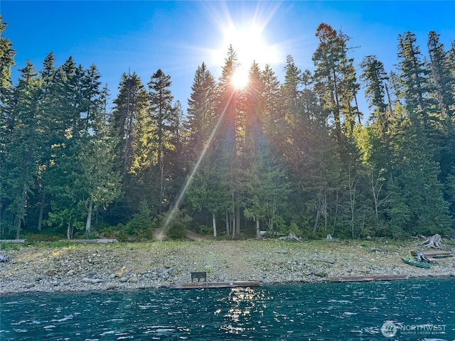 4273 Kachess Lake Rd, Easton, WA 98925 - photo 8