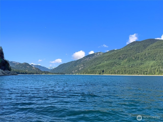 4273 Kachess Lake Rd, Easton, WA 98925 - photo 14