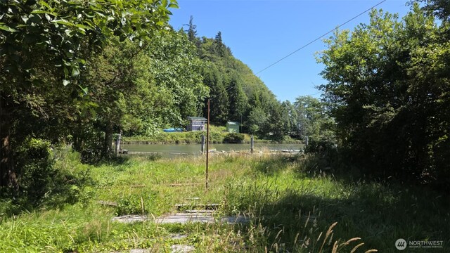 1115 E Market St, Aberdeen, WA 98520 - photo 27