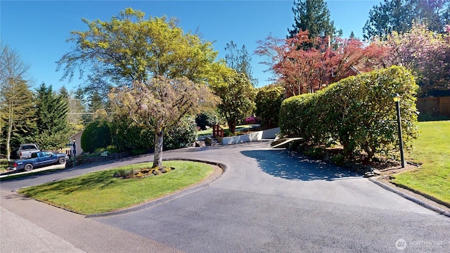 1533 NE Tagholm Rd, Poulsbo, WA 98370 - photo 40