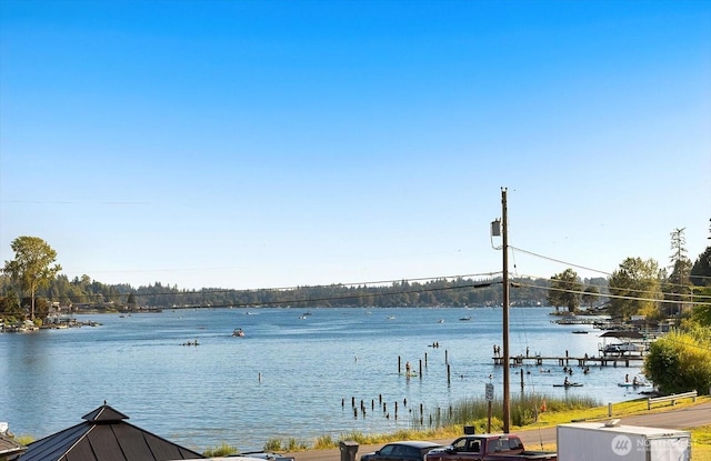 12011 N Lakeshore Dr, Lake Stevens, WA 98258 - photo 27
