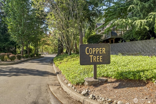 15800 Village Green Dr Unit 38, Mill Creek, WA 98012 - photo 34