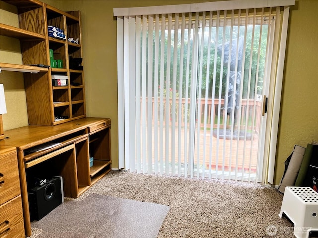 25003 16th Ave S, Des Moines, WA 98198 - photo 17