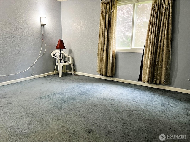 25003 16th Ave S, Des Moines, WA 98198 - photo 15
