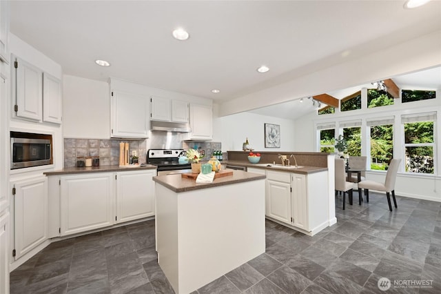 3046 124th Ave NE, Bellevue, WA 98005 - photo 11