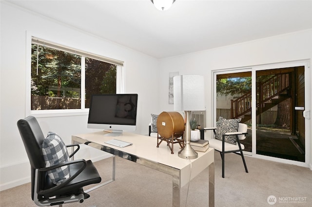 3046 124th Ave NE, Bellevue, WA 98005 - photo 31