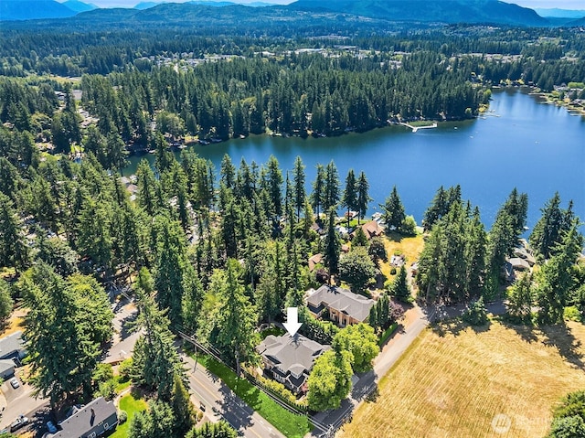 2004 222nd Ave SE, Sammamish, WA 98075 - photo 37