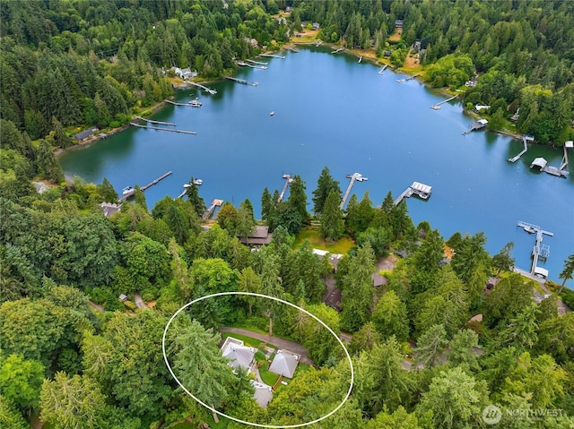 8027 NE Hidden Cove Rd, Bainbridge Island, WA 98110 - photo 39