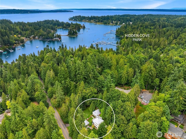 8027 NE Hidden Cove Rd, Bainbridge Island, WA 98110 - photo 40