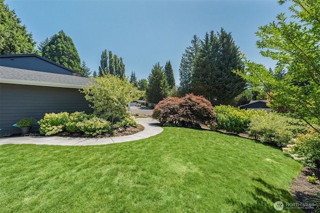 16120 NE 98th St, Redmond, WA 98052 - photo 7