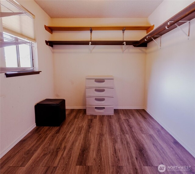 15213 103rd Avenue Ct E, Puyallup, WA 98374 - photo 13