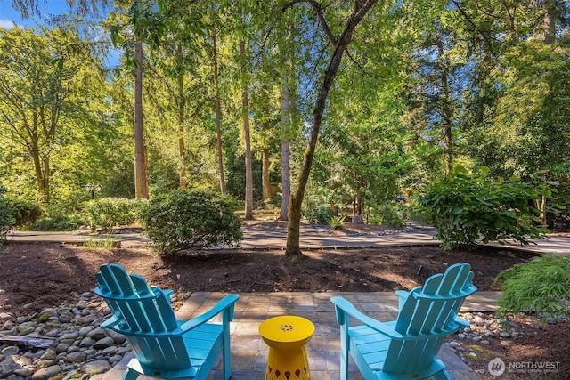 3720 131st Ave NE, Bellevue, WA 98005 - photo 5