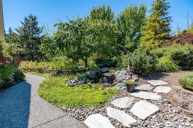 421 Coddington Rd, Coupeville, WA 98239 - photo 6