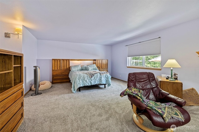 421 Coddington Rd, Coupeville, WA 98239 - photo 20