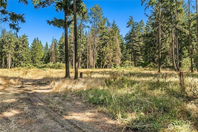551 Pioneer Trl, Cle Elum, WA 98922 - photo 25