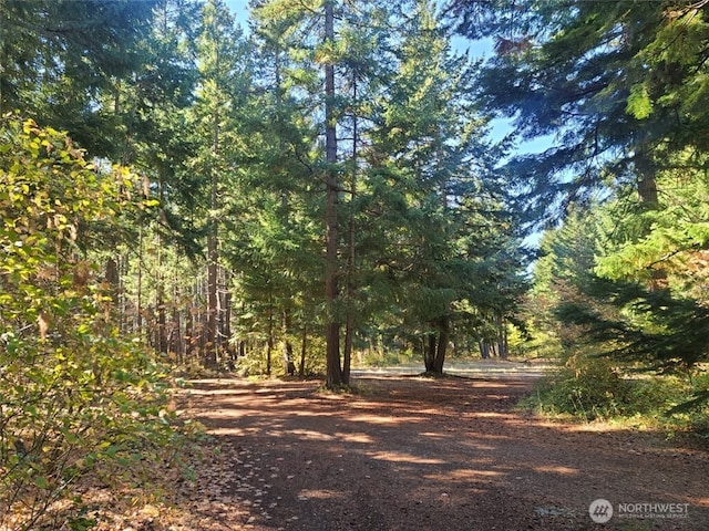 551 Pioneer Trl, Cle Elum, WA 98922 - photo 32