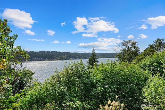 2472 E Lake Sammamish Pkwy NE, Sammamish, WA 98074 - photo 9