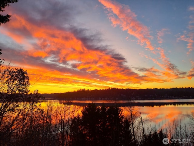2472 E Lake Sammamish Pkwy NE, Sammamish, WA 98074 - photo 36