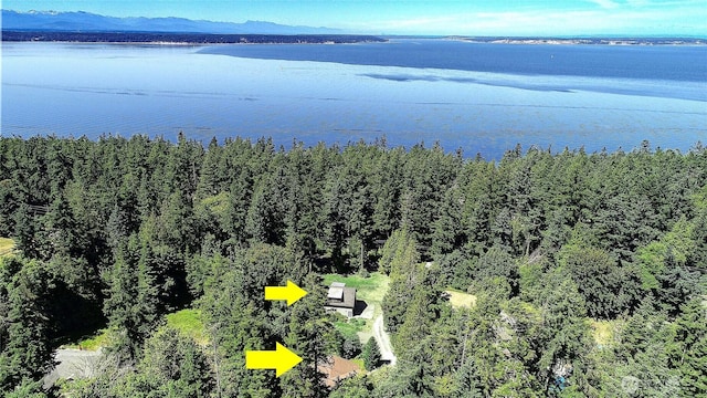 628 N Sunset Dr, Camano Island, WA 98282 - photo 38
