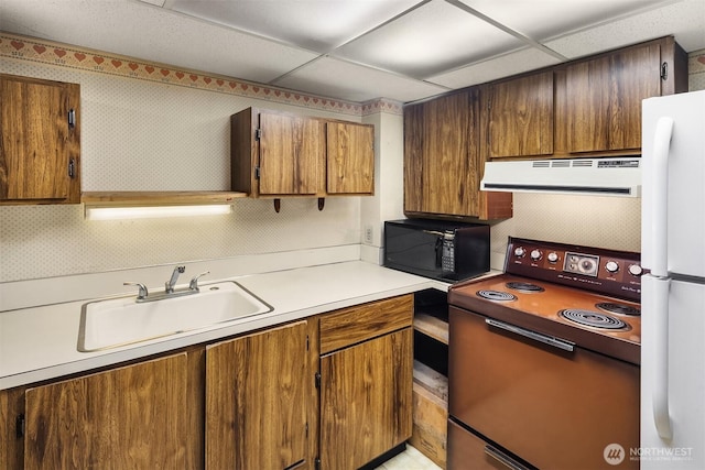 7017 NE 155th Pl, Kenmore, WA 98028 - photo 15