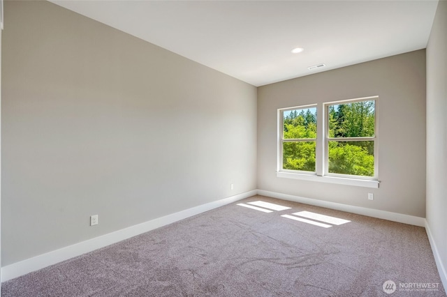15107 250th Dr SE, Monroe, WA 98272 - photo 33