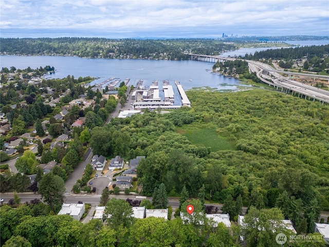3848 Lake Washington Blvd SE Unit 6B, Bellevue, WA 98006 - photo 27