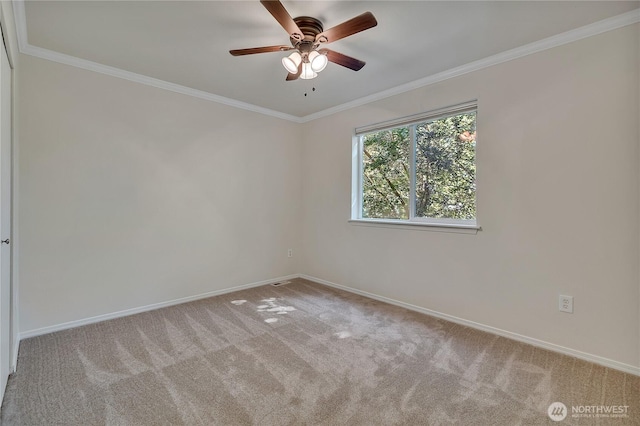 2909 58th Ave E, Fife, WA 98424 - photo 29