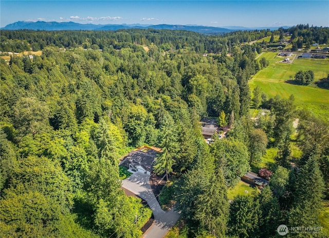 7409 142nd Dr SE, Snohomish, WA 98290 - photo 36