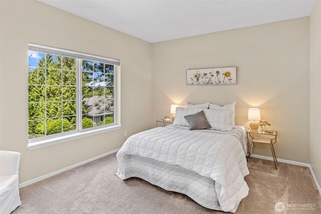 12105 NE 171st Pl Unit A202, Bothell, WA 98011 - photo 10