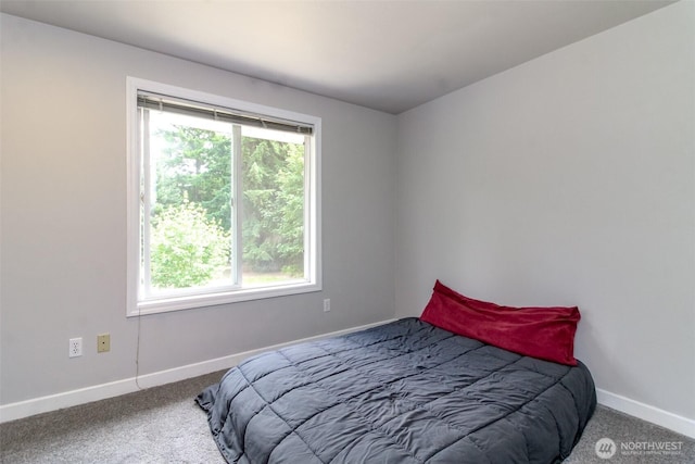 15816 Lindsay Rd SE, Yelm, WA 98597 - photo 16