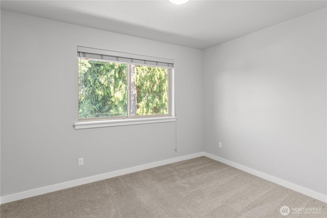 1033 105th Avenue Ct E, Edgewood, WA 98372 - photo 12