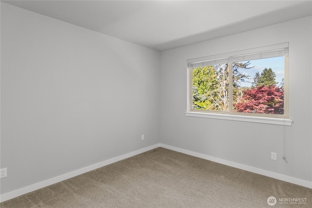 1033 105th Avenue Ct E, Edgewood, WA 98372 - photo 14