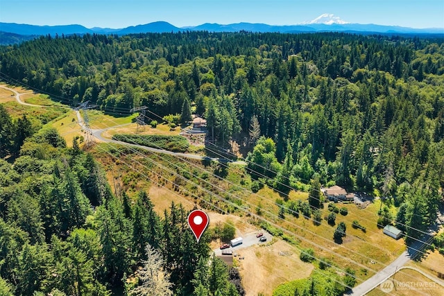 16530 237th Ave SE, Issaquah, WA 98027 - photo 33