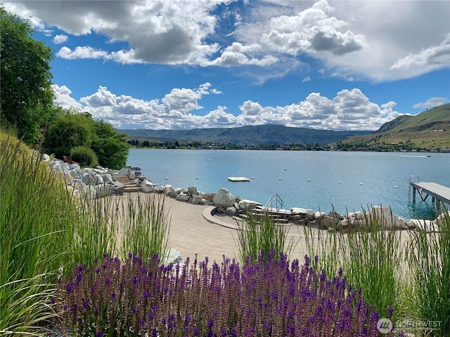 102 Porcupine Ln, Chelan, WA 98816 - photo 38