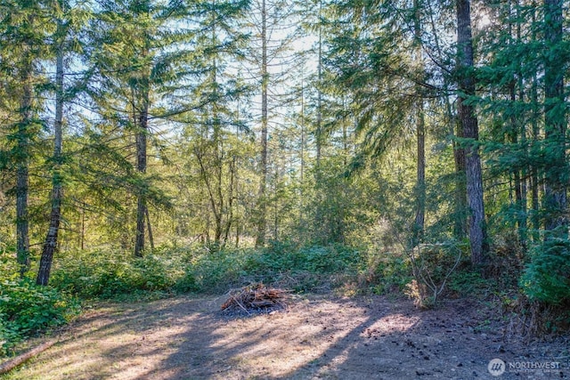 0 N Silver Ln S, Hoodsport, WA 98548 - photo 1